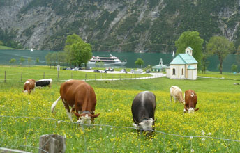 Achensee