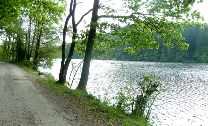 Wander und Radweg um den Blauen See