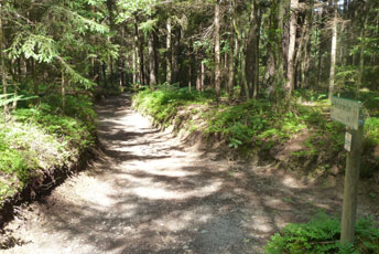 Faakersee Radweg