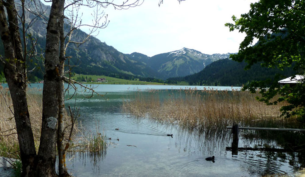 Rad und Wanderweg um den Haldensee