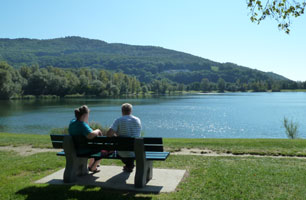 Pleschingersee