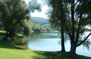 Pleschingersee