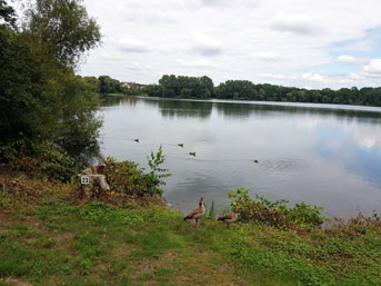 Wander und Radweg um den Blauen See