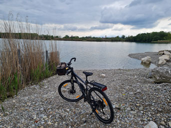 H&ouml;glinger Weiher