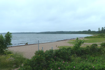 Radweg um die Schlei in Schleswig