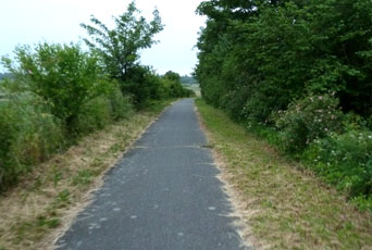Radweg um die Schlei in Schleswig
